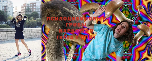дурь Баксан